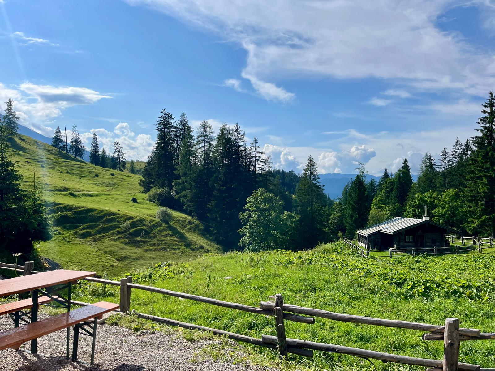 Ausblick von der Alm